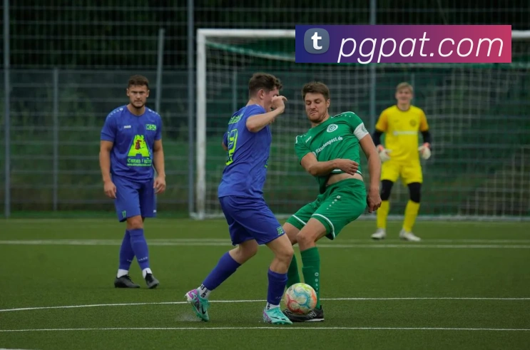 pg电子平台生态图